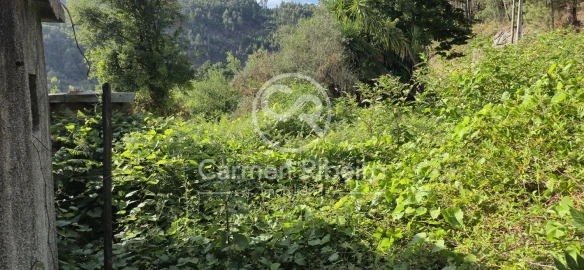 Moradia T4 para Venda em Santa Cruz do Douro e São Tomé de Covelas