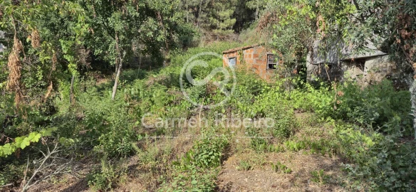 Moradia T4 para Venda em Santa Cruz do Douro e São Tomé de Covelas