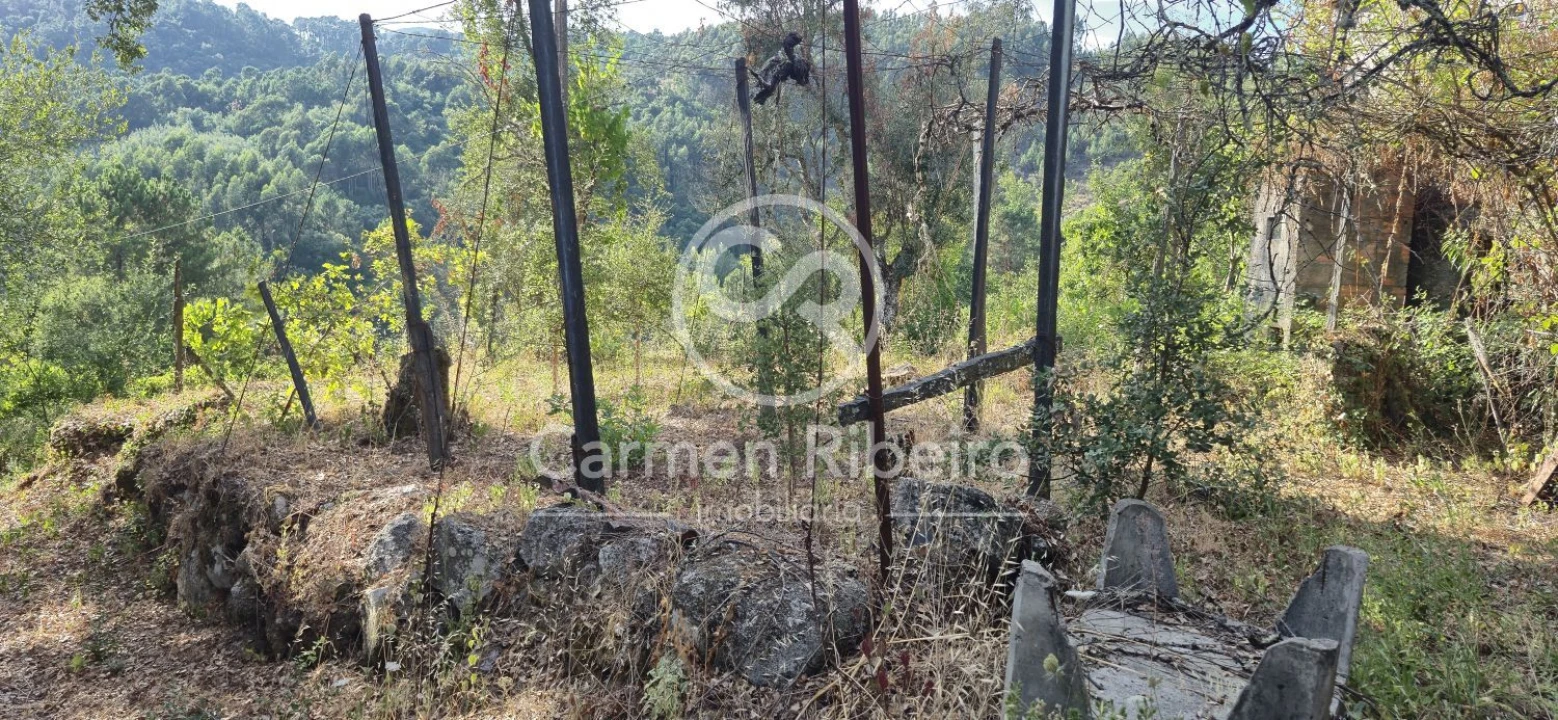 Moradia T4 para Venda em Santa Cruz do Douro e São Tomé de Covelas Foto 6
