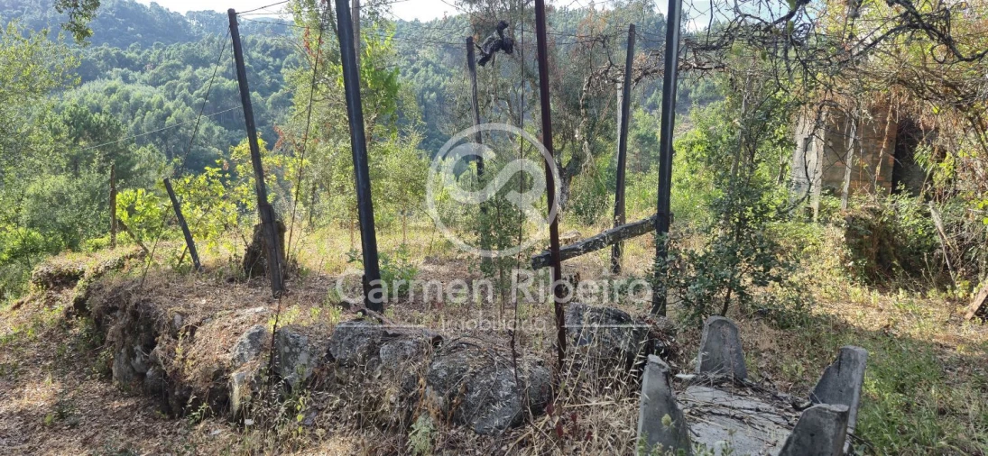 Moradia T4 para Venda em Santa Cruz do Douro e São Tomé de Covelas Foto 6