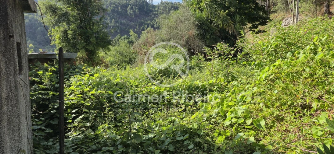 Moradia T4 para Venda em Santa Cruz do Douro e São Tomé de Covelas Foto 30
