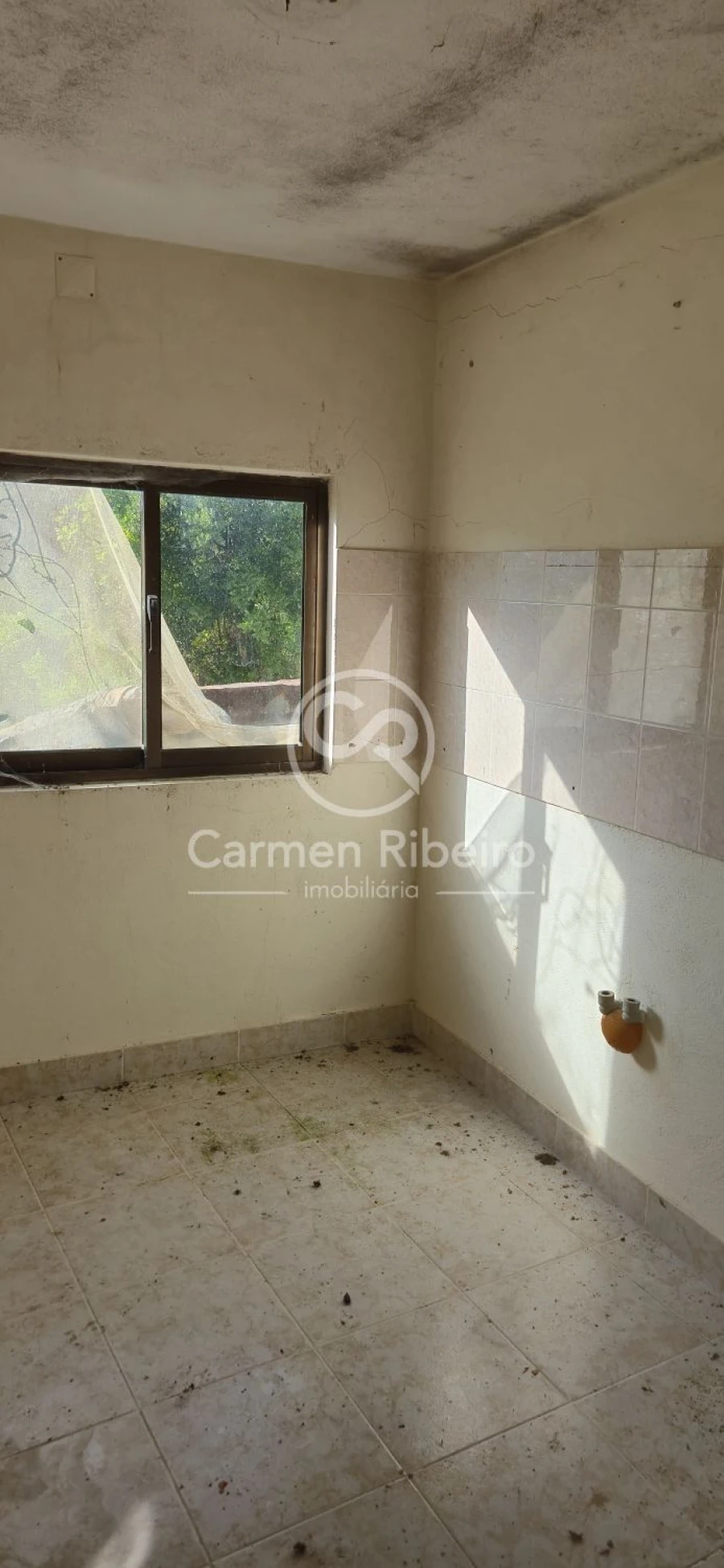 Moradia T4 para Venda em Santa Cruz do Douro e São Tomé de Covelas Foto 27