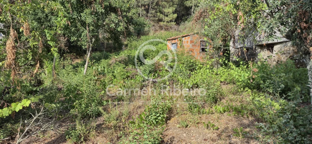 Moradia T4 para Venda em Santa Cruz do Douro e São Tomé de Covelas Foto 4