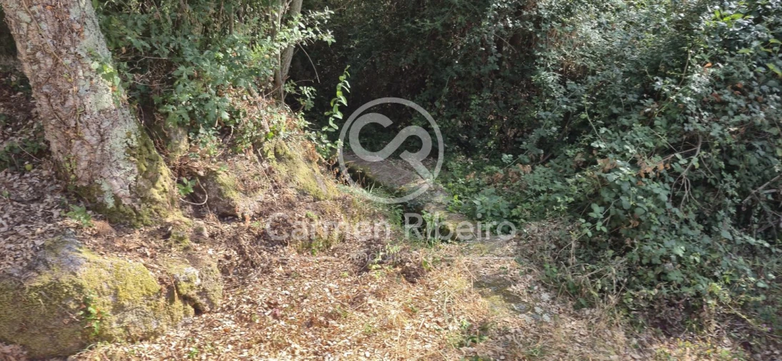 Moradia T4 para Venda em Santa Cruz do Douro e São Tomé de Covelas Foto 5