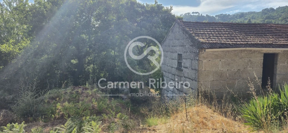 Moradia T4 para Venda em Santa Cruz do Douro e São Tomé de Covelas Foto 31