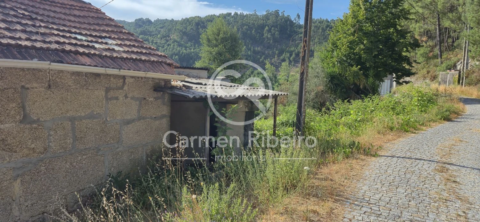 Moradia T4 para Venda em Santa Cruz do Douro e São Tomé de Covelas Foto 7