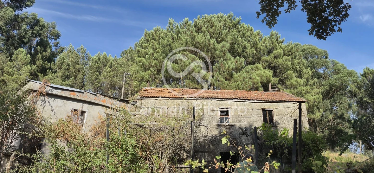 Moradia T4 para Venda em Santa Cruz do Douro e São Tomé de Covelas Foto 1