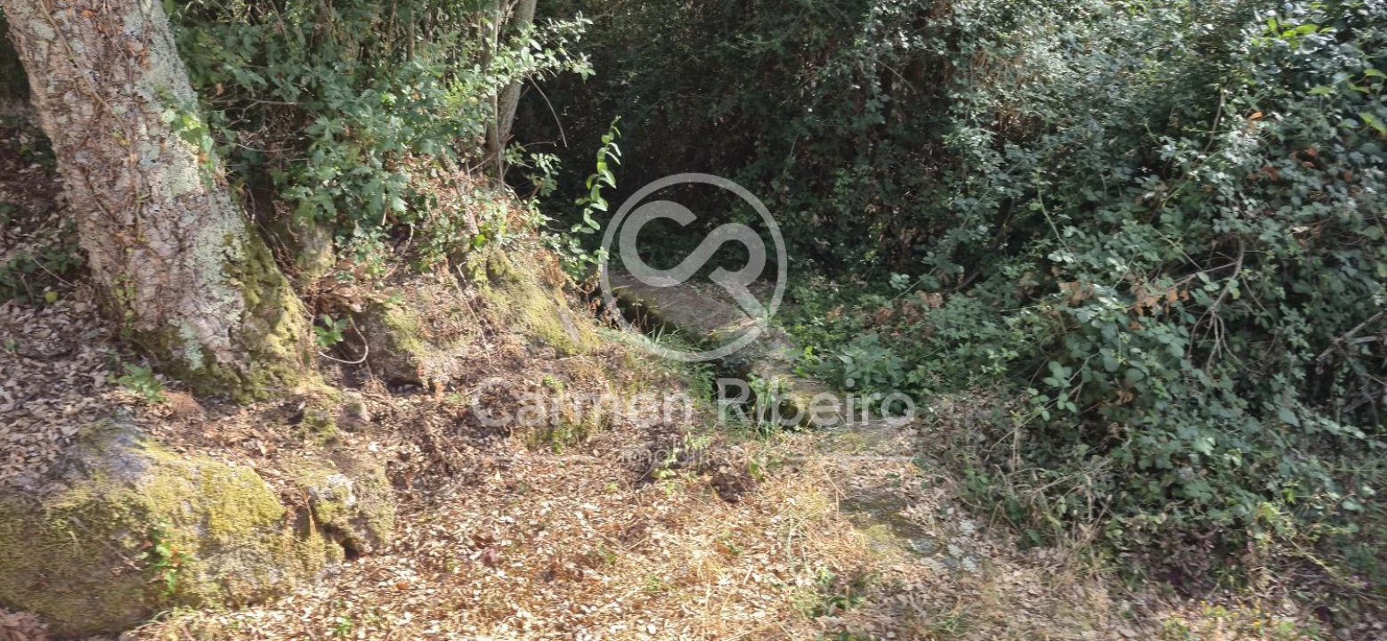 Moradia T4 para Venda em Santa Cruz do Douro e São Tomé de Covelas Foto 5