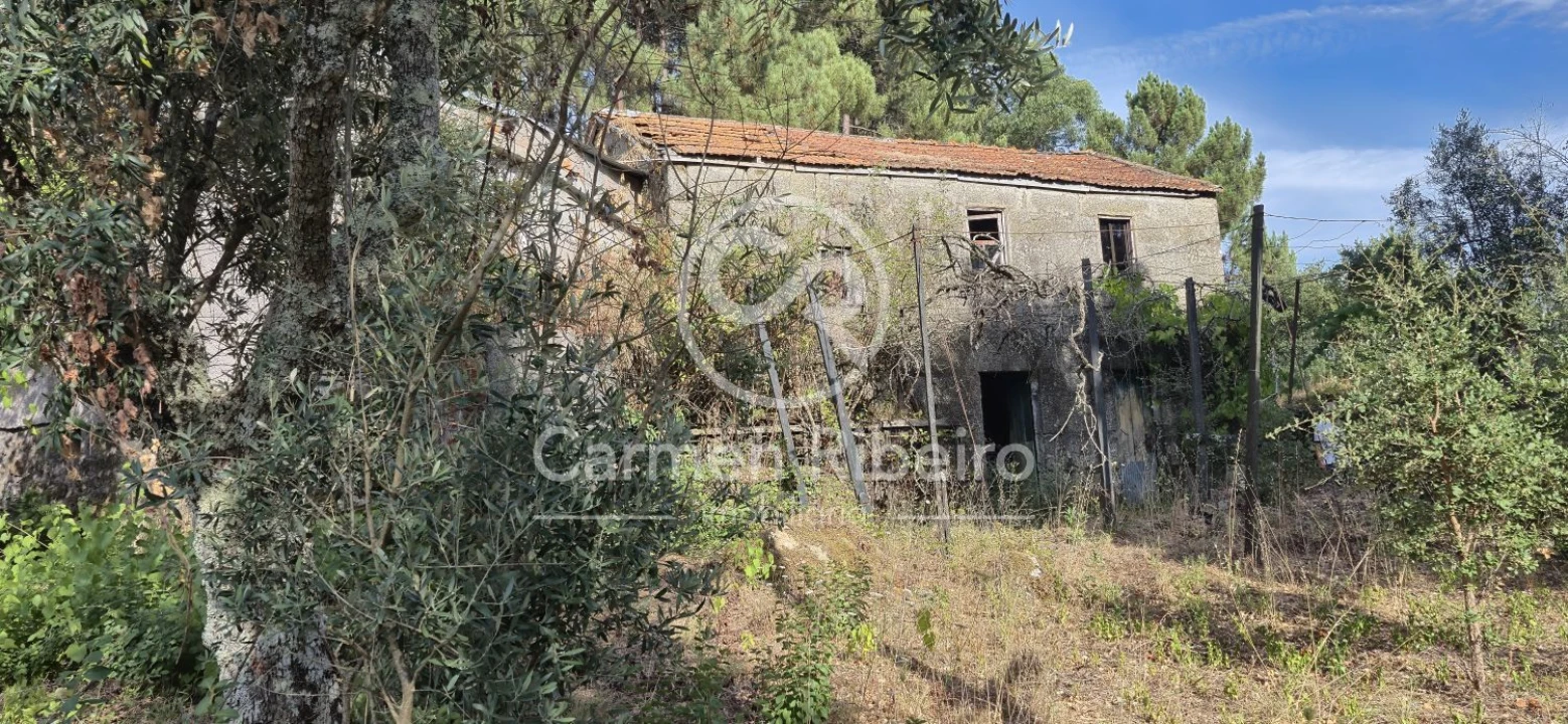 Moradia T4 para Venda em Santa Cruz do Douro e São Tomé de Covelas Foto 2