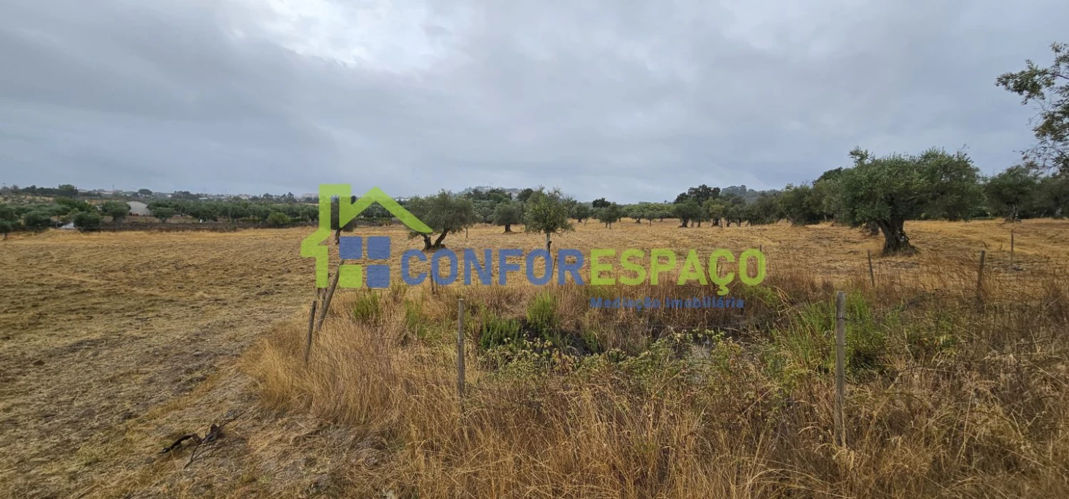 Quinta T2 para Venda em Castelo Branco Foto 18