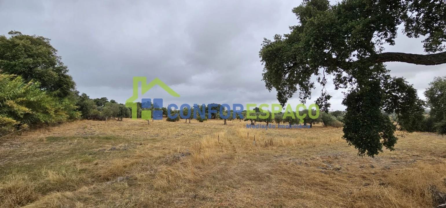 Quinta T2 para Venda em Castelo Branco Foto 11