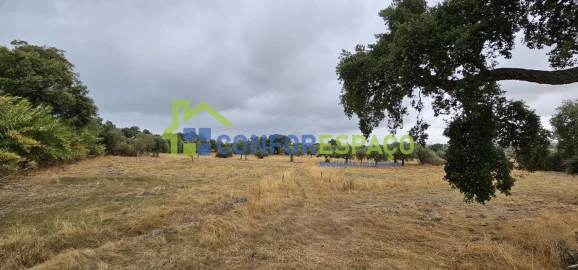 Quinta T2 para Venda em Castelo Branco