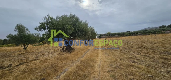 Quinta T2 para Venda em Castelo Branco