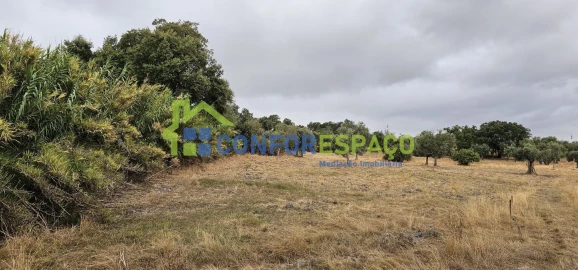 Quinta T2 para Venda em Castelo Branco