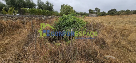 Quinta T2 para Venda em Castelo Branco