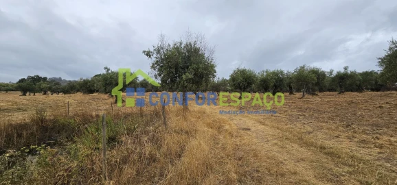 Quinta T2 para Venda em Castelo Branco