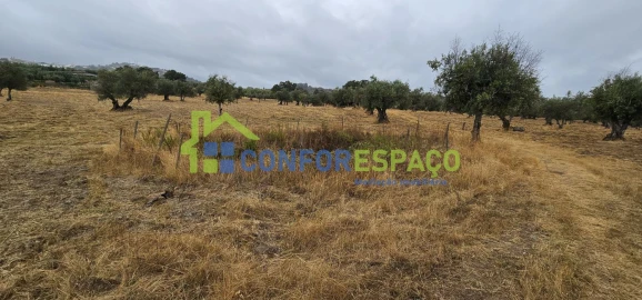 Quinta T2 para Venda em Castelo Branco