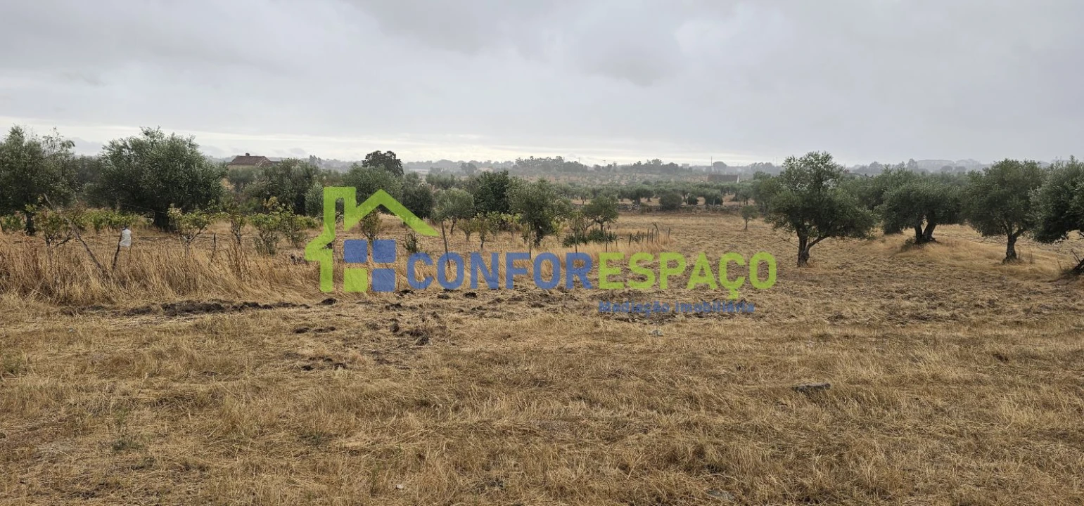 Quinta T2 para Venda em Castelo Branco Foto 13
