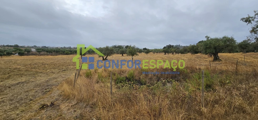Quinta T2 para Venda em Castelo Branco Foto 18