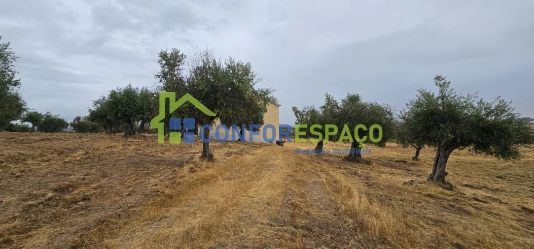 Quinta T2 para Venda em Castelo Branco Foto 9