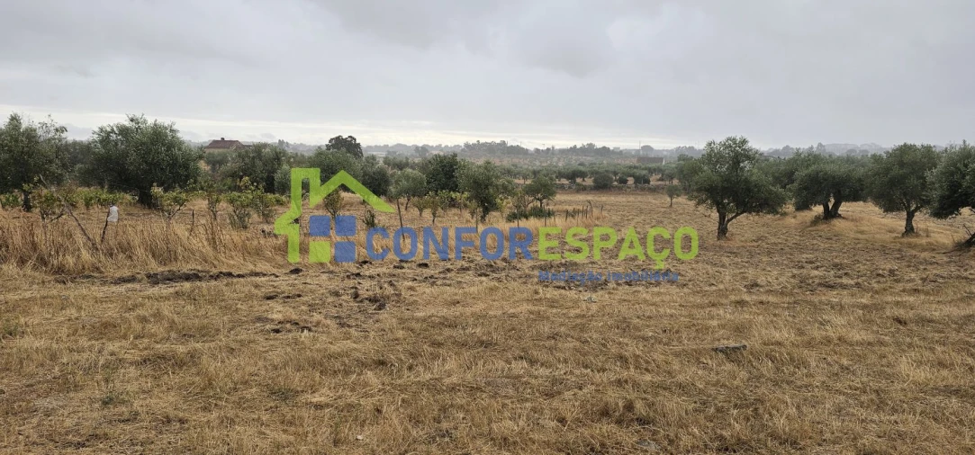 Quinta T2 para Venda em Castelo Branco Foto 13