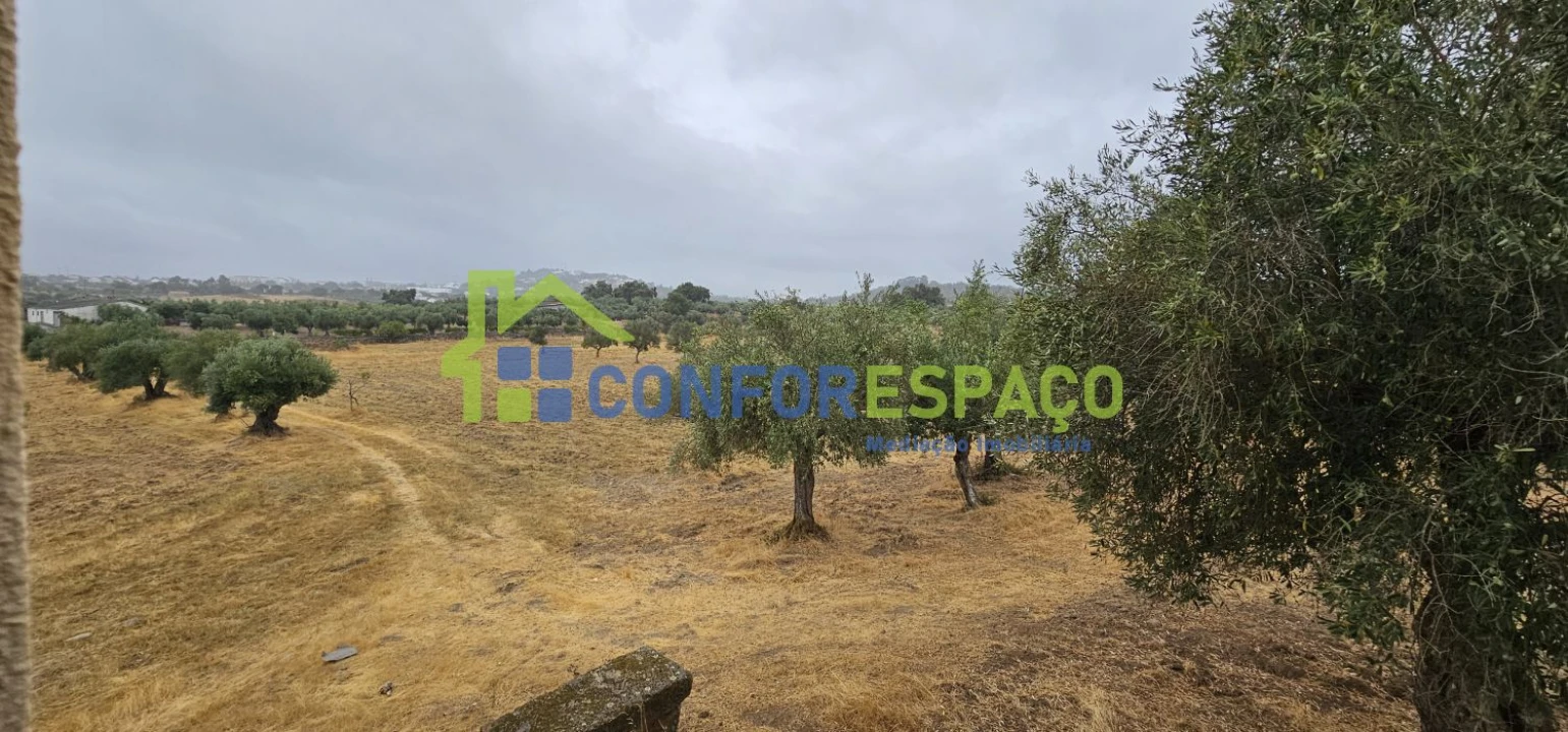 Quinta T2 para Venda em Castelo Branco Foto 15