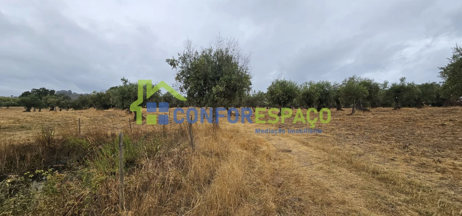 Quinta T2 para Venda em Castelo Branco Foto 17