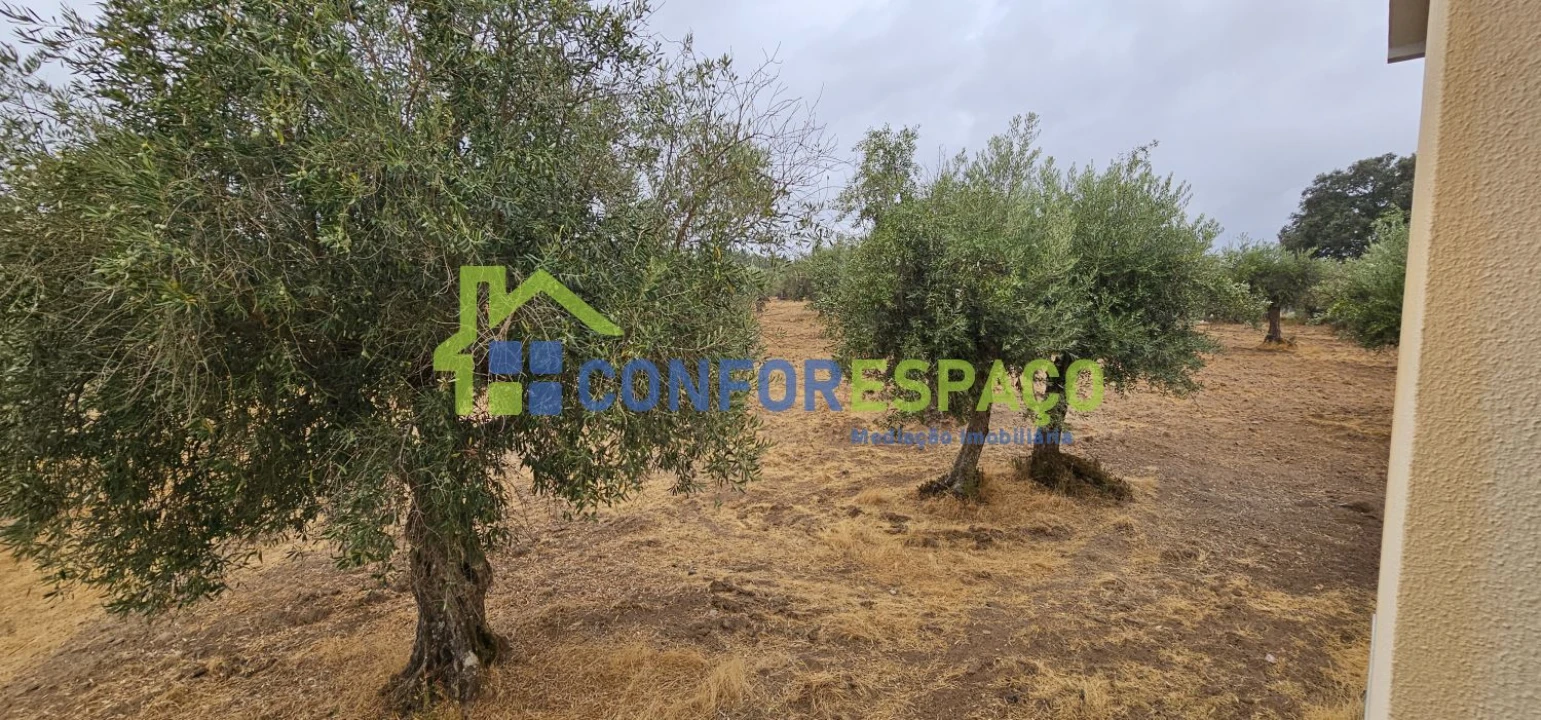 Quinta T2 para Venda em Castelo Branco Foto 14