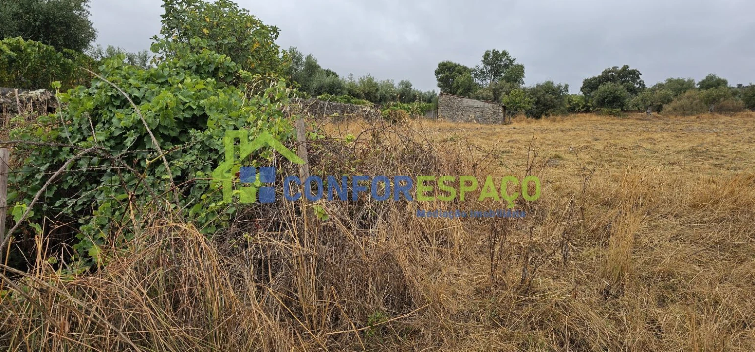 Quinta T2 para Venda em Castelo Branco Foto 21