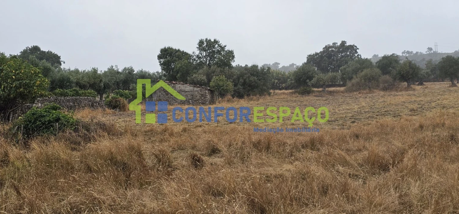 Quinta T2 para Venda em Castelo Branco Foto 12