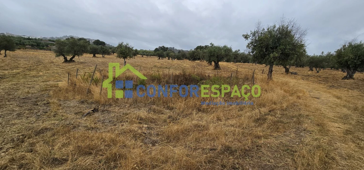 Quinta T2 para Venda em Castelo Branco Foto 16