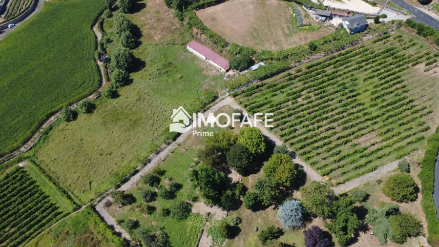 Moradia T2 para Venda em Salvador e Santo Aleixo de Além-Tâmega Foto 10