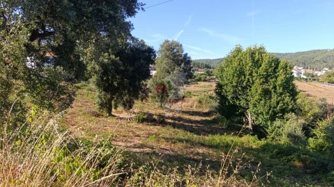 Terreno para Venda em Oleiros-Amieira