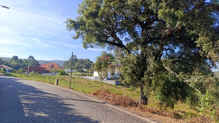 Terreno para Venda em Oleiros-Amieira Foto 4
