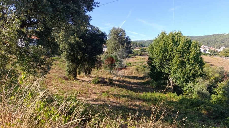 Terreno para Venda em Oleiros-Amieira Foto 3