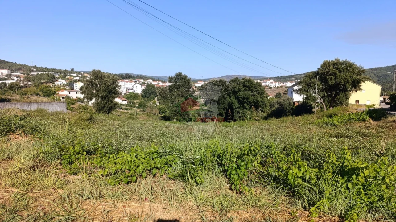 Terreno para Venda em Oleiros-Amieira Foto 6