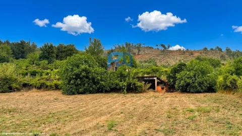 Terreno para Venda em Santa Marinha do Zezere