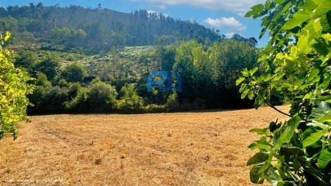 Terreno para Venda em Santa Marinha do Zezere