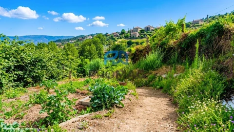 Terreno para Venda em Santa Marinha do Zezere