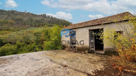Terreno para Venda em Santa Marinha do Zezere
