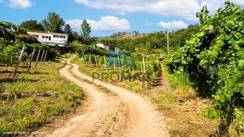 Terreno para Venda em Santa Marinha do Zezere