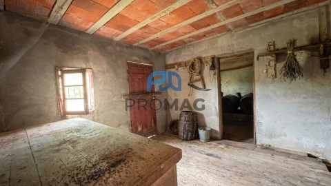 Terreno para Venda em Santa Marinha do Zezere