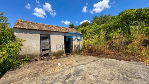 Terreno para Venda em Santa Marinha do Zezere