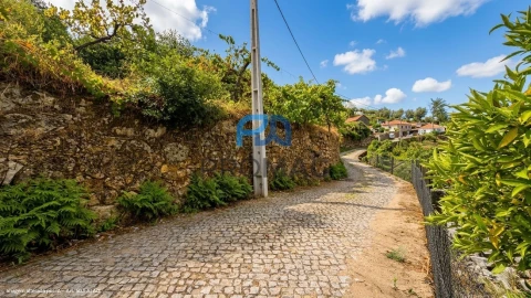 Terreno para Venda em Santa Marinha do Zezere