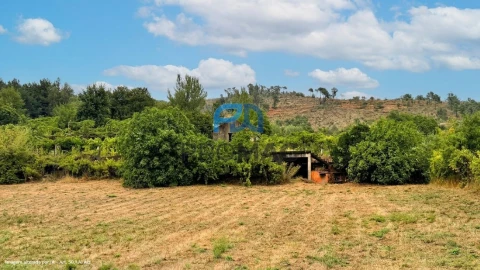 Terreno para Venda em Santa Marinha do Zezere