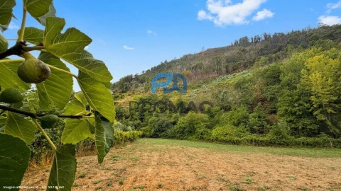 Terreno para Venda em Santa Marinha do Zezere