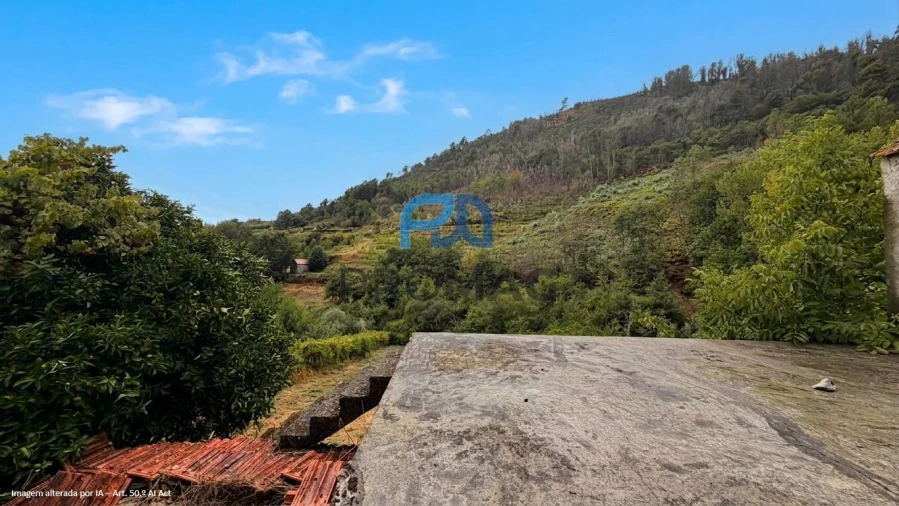 Terreno para Venda em Santa Marinha do Zezere Foto 16