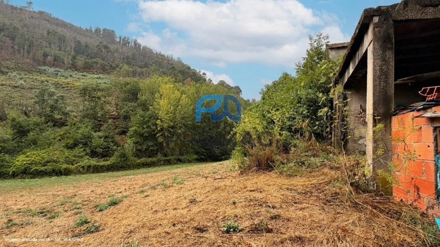 Terreno para Venda em Santa Marinha do Zezere Foto 14