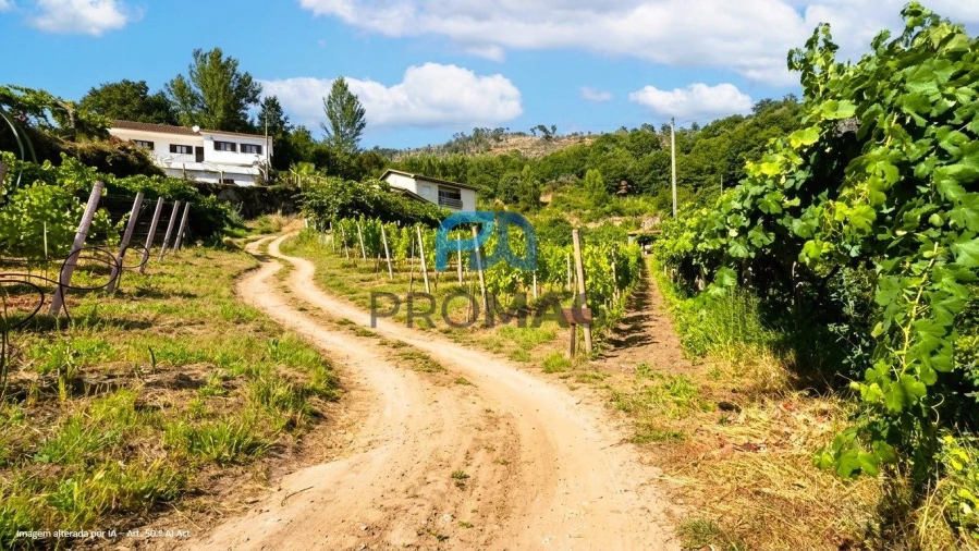 Terreno para Venda em Santa Marinha do Zezere Foto 9