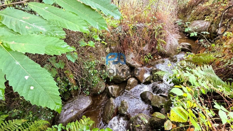 Terreno para Venda em Santa Marinha do Zezere Foto 20